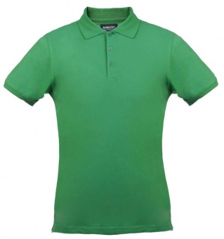 Картинка Рубашка поло стретч мужская EAGLE, зеленая ПромоЕсть Сувенирная и корпоративная продукция
